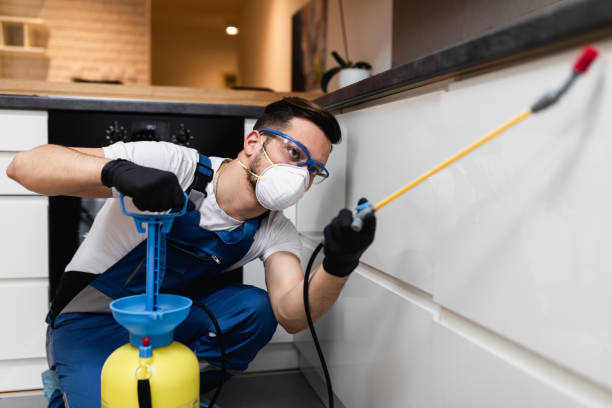 Best Bed Bug Extermination  in Seis Lagos, TX