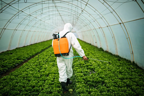 Best Pest Removal Services  in Seis Lagos, TX