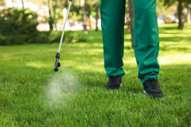 Best Rodent Control Near Me  in Seis Lagos, TX