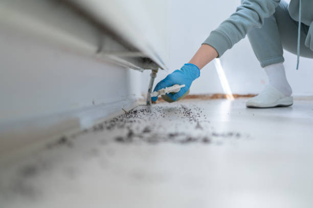 Best Emergency Pest Control  in Seis Lagos, TX